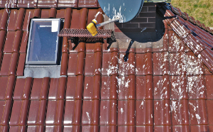 Bird poo on a roof